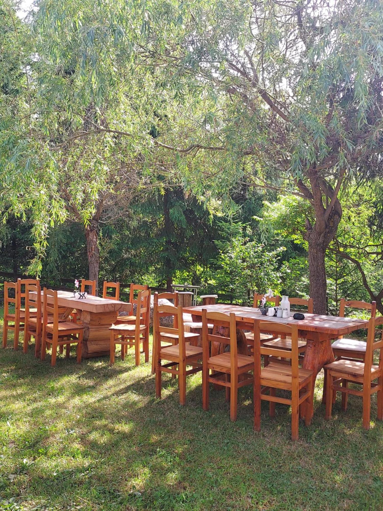 Pensiunea La Taverna Trăisteni Zewnętrze zdjęcie