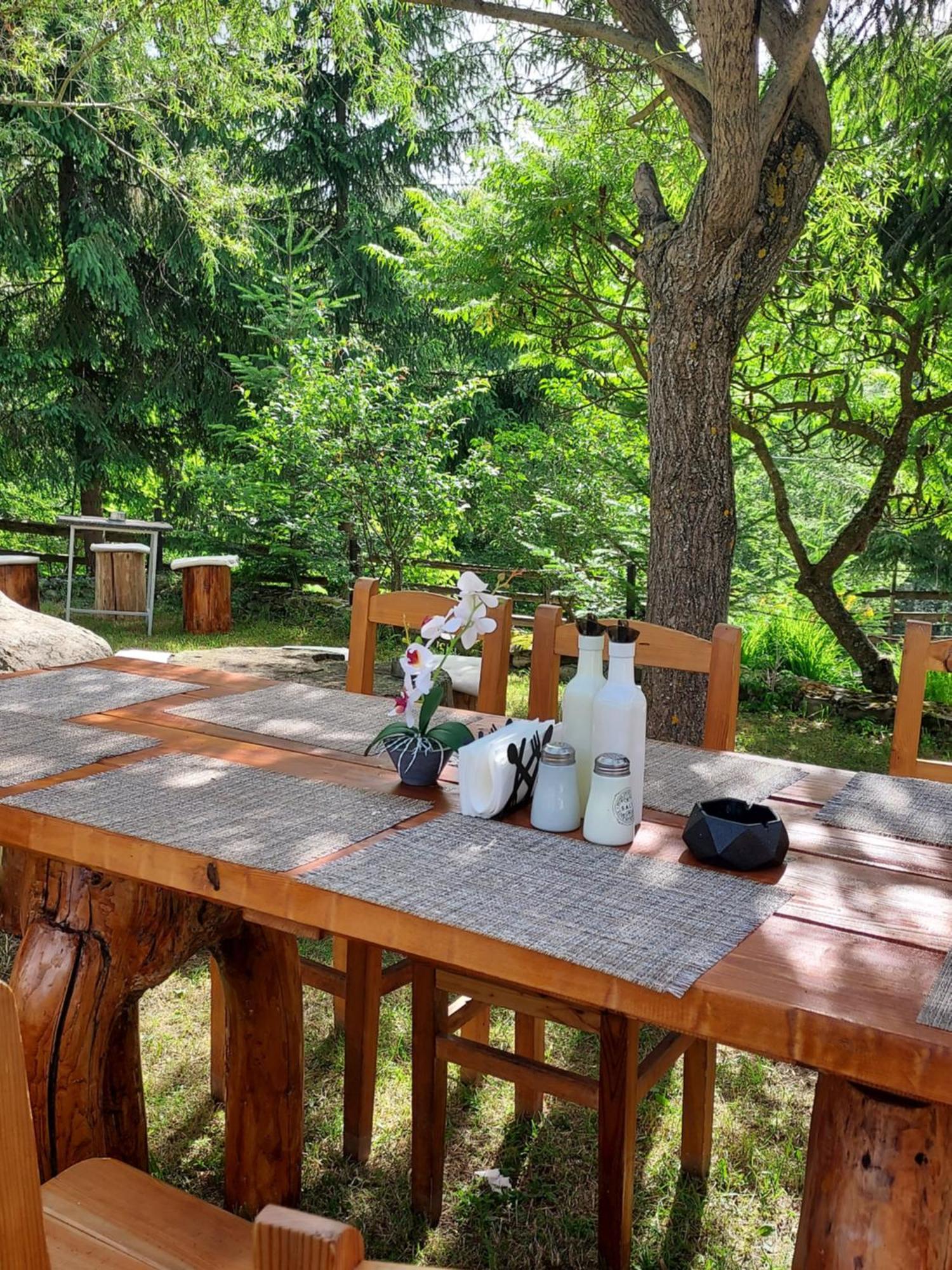 Pensiunea La Taverna Trăisteni Zewnętrze zdjęcie