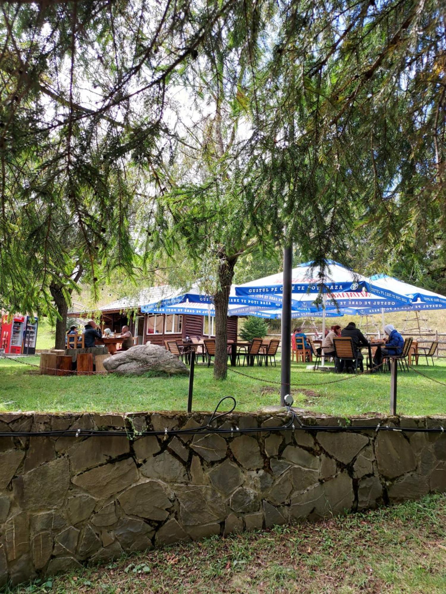 Pensiunea La Taverna Trăisteni Zewnętrze zdjęcie